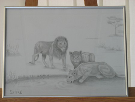 tableau au crayon "Les lions dans la savane"
